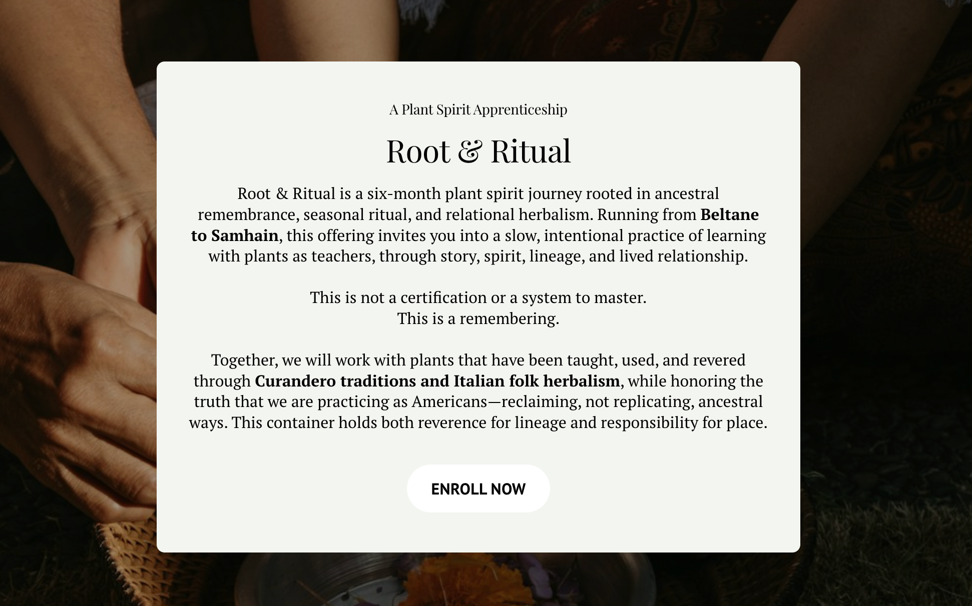 Red Root Ritual Root & Ritual Early Bird Registration | The Prana House Organic Herbal ...